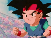 GokuJrVsVegetaJr.01