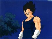 Mavegeta