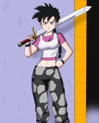 Videl universo 9.jpg