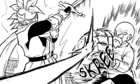 Crilin Tapion.png