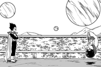 Vegeta Raichi.png