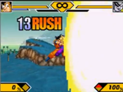 180px-DBZSSW2FamKame.png