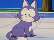 PopoCat