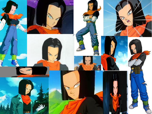 File:17 fan.png