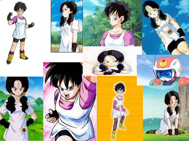 File:Videl fan.png