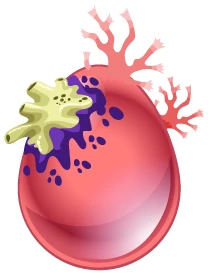 Arquivo:Coral Egg.png