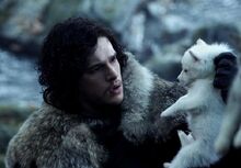 Jon