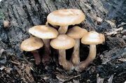 Unknown-2