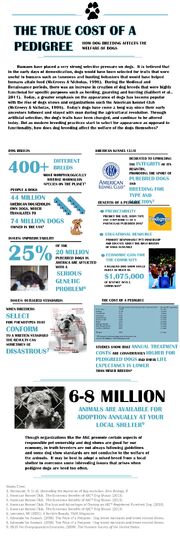 Santos- True Cost of A Pedigree Infograph