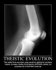 Theistic evo