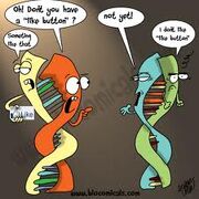 Gene- culture