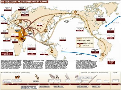 20090409Migration3