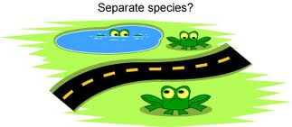 Speciation 5