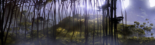 File:Forest.jpg