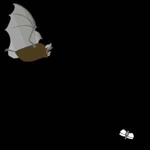 Bat ani