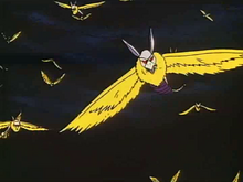 Chimaeras