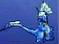 File:Dragon-nardragon.jpg