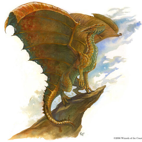 File:Copper drake.jpg