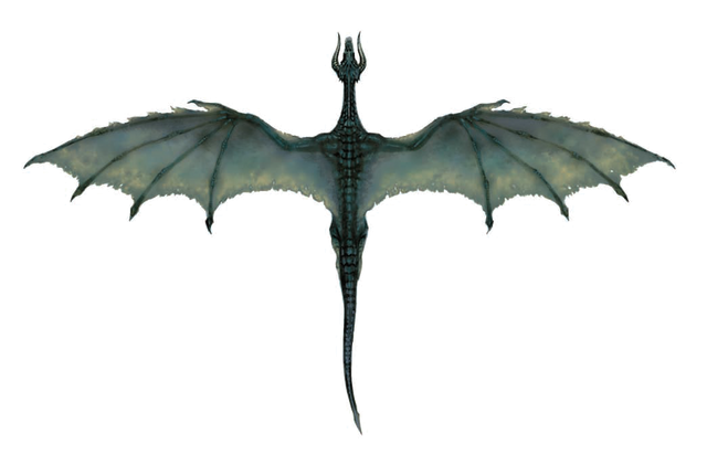 File:Black Dragon (overhead).png