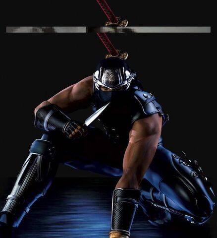 File:Ninja Gaiden big1.jpg