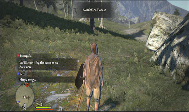 File:Northface Forest.png