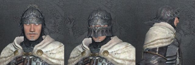 File:Steel Sallet.jpg