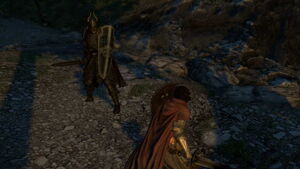 Skeleton Lord Encounter
