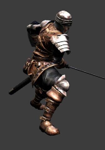 File:DSwarrior.jpg