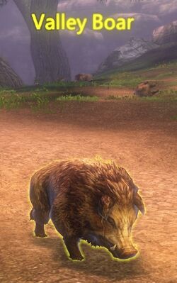 Valley Boar