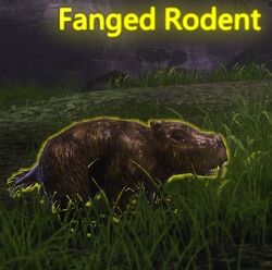 Fanged Rodent
