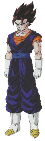 Vegetto3