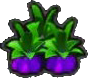 Dragon Root
