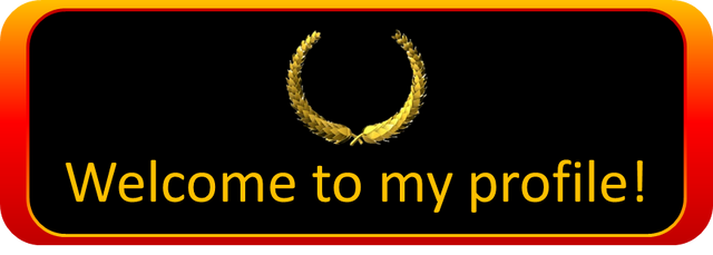 File:ExampleBanner.png