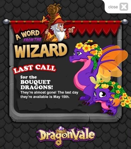 File:InGameNotificationBouquetDragonLastCall.jpeg