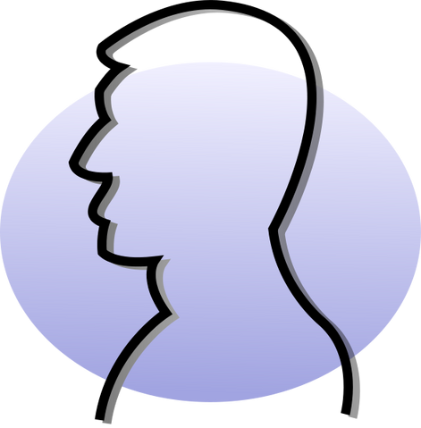 Archivo:P vip.svg.png