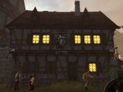 Flinkes frettchen01