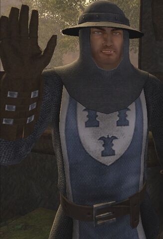 File:FerdokCityWatchman DucalCitadel.jpg