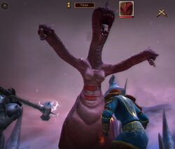 Malgorra2.jpg
