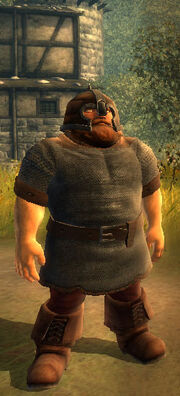 Soeldner