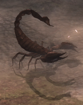 Riesenskorpion 1