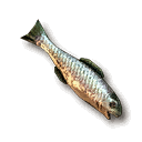 Fisch.png