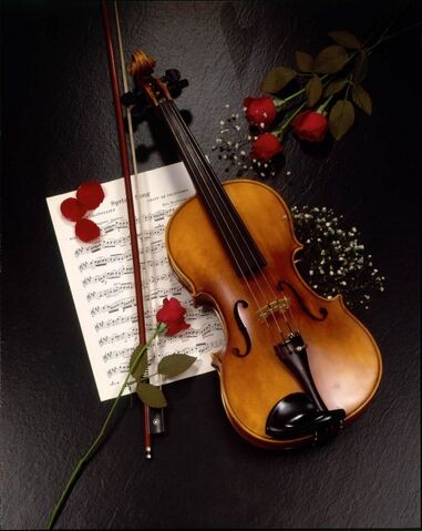 Archivo:Violin.jpg