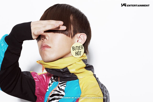 Archivo:Gdragon10.jpg