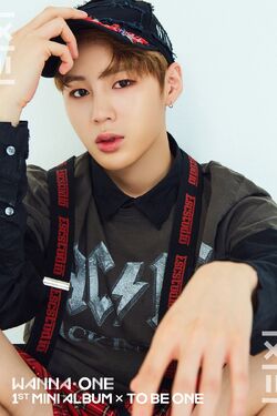 Ha Sung Woon