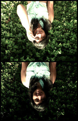Archivo:Añsdfkjgh.jpg