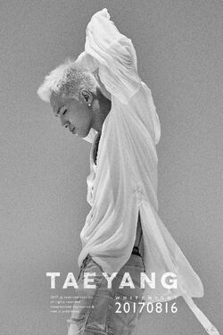 Tae Yang (White Night)
