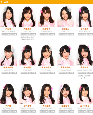 Archivo:TeamKII2013New.png