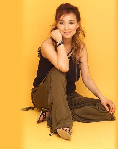 Archivo:Zhang-Ting6.jpg