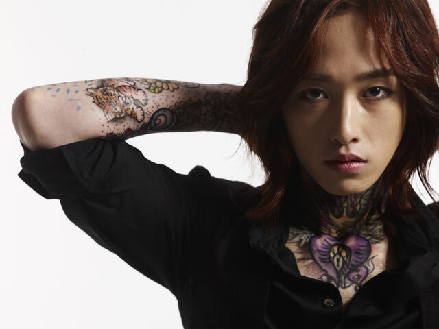 Archivo:Dalmatianyoungwon.jpg
