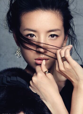 Archivo:Dong Jie8.jpg